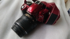 尼康D3100单反相机 红色限liang版  带原装18-55防抖镜头